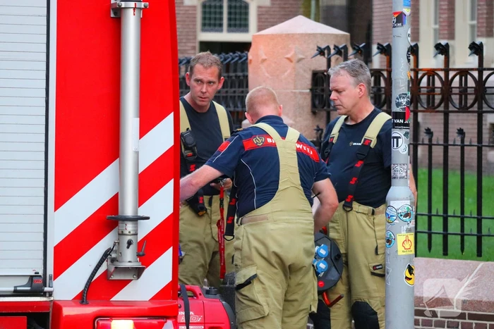 Brand in wonig door pizza in oven