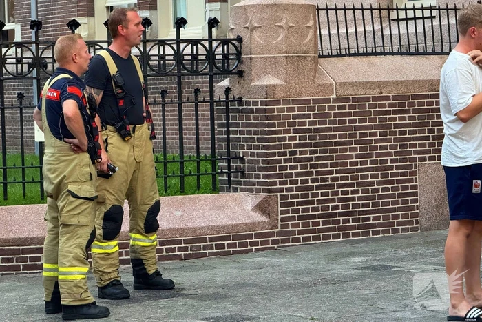 Brand in wonig door pizza in oven
