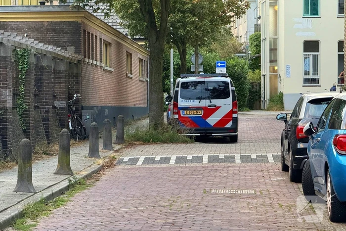 Brand in wonig door pizza in oven