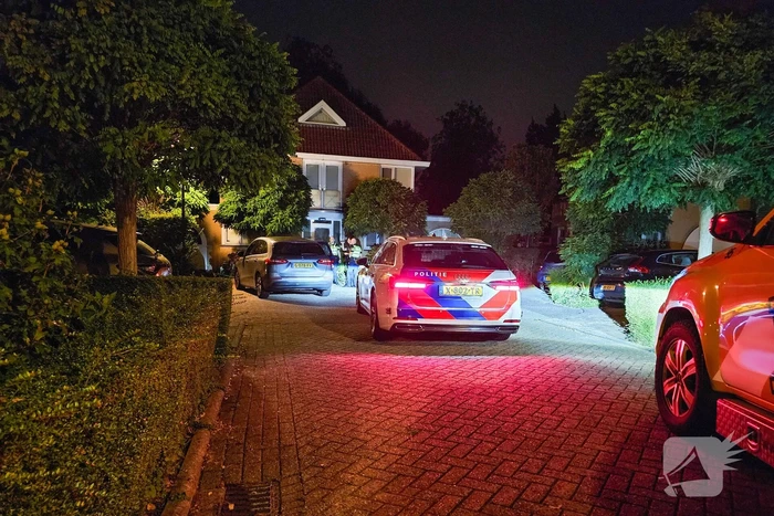 Vlucht voor politie eindigt tegen boom