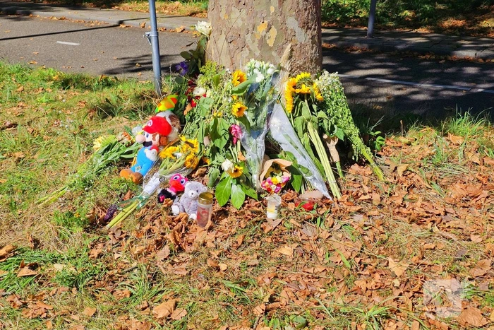 12-jarige jongen overleden na aanrijding met vrachtwagen, herdenkingsplek ingericht
