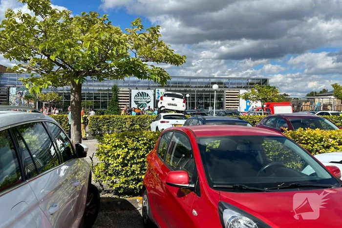 Grote ravage op parkeerplaats tuincentrum