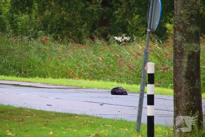 Ernstig verkeersongeval tussen auto en fietser