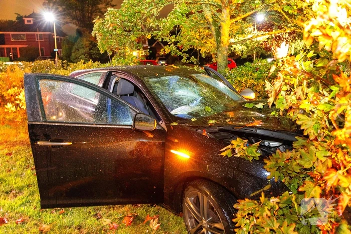 Boom doormidden nadat auto van weg raakt