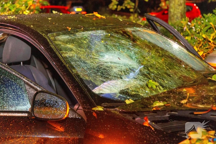 Boom doormidden nadat auto van weg raakt