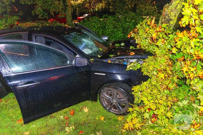 Boom doormidden nadat auto van weg raakt