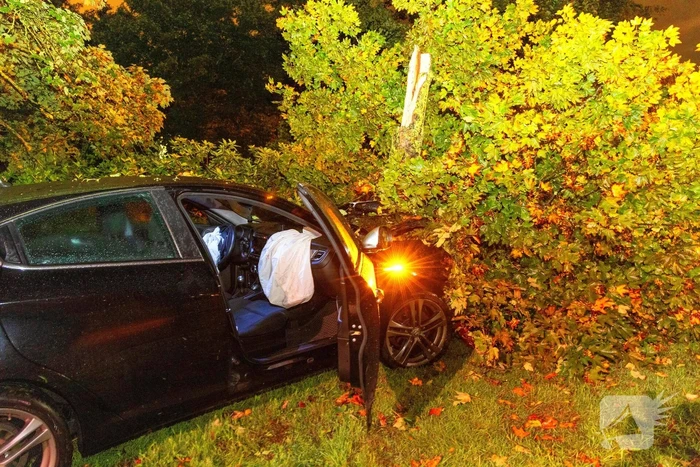 Boom doormidden nadat auto van weg raakt