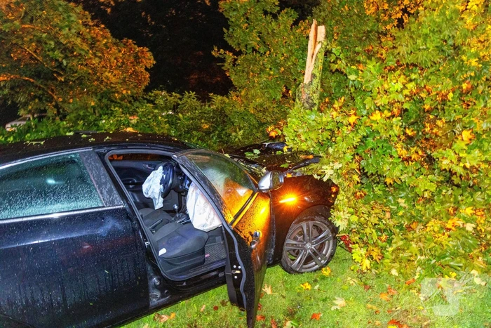 Boom doormidden nadat auto van weg raakt
