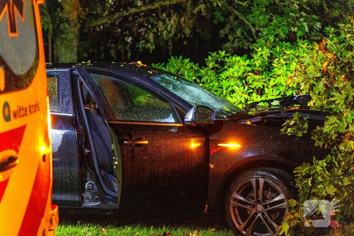 Boom doormidden nadat auto van weg raakt