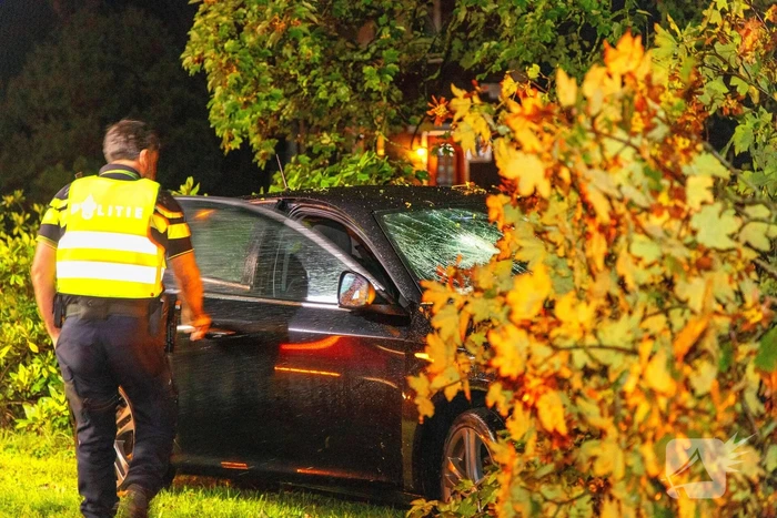 Boom doormidden nadat auto van weg raakt