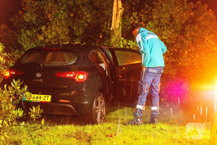 Boom doormidden nadat auto van weg raakt
