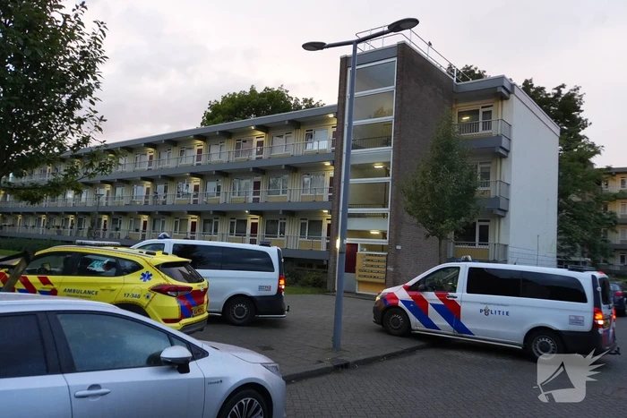 steekincident stellendamhof rotterdam
