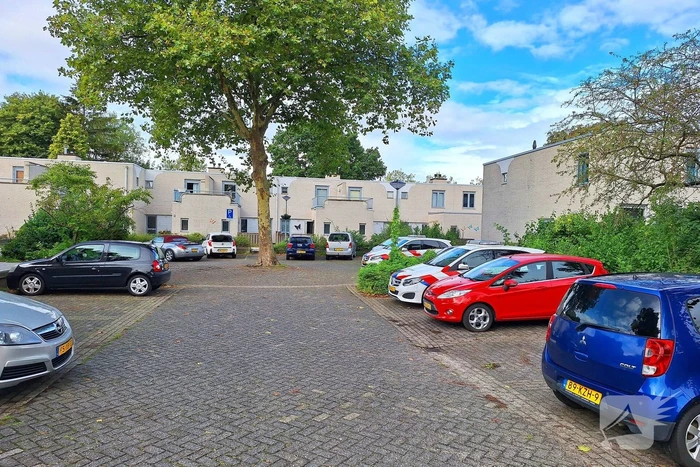Politie in kogelwerende vesten na melding overval