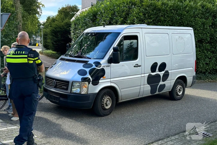 Scholiere en bestelbus met elkaar in botsing