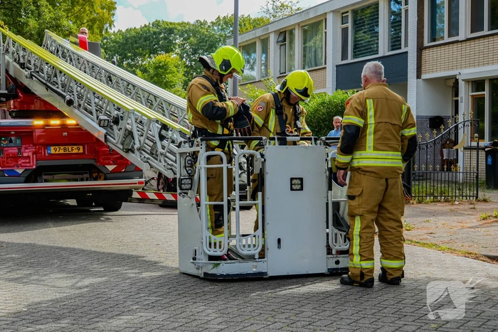 Buurt belt brandweer voor kat in de boom