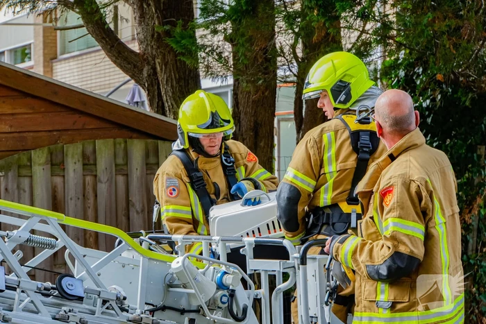 Buurt belt brandweer voor kat in de boom