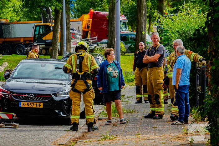Buurt belt brandweer voor kat in de boom