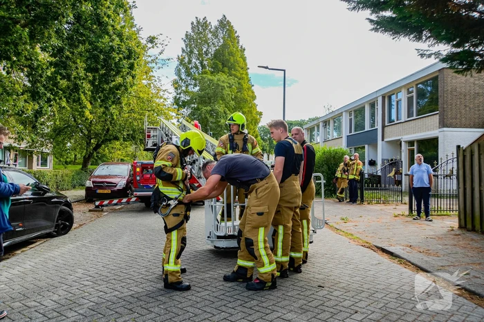 Buurt belt brandweer voor kat in de boom