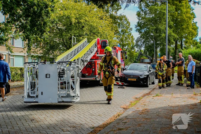 Buurt belt brandweer voor kat in de boom