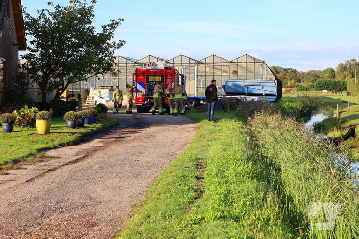 Paard gered uit modderige sloot na spannende reddingsactie