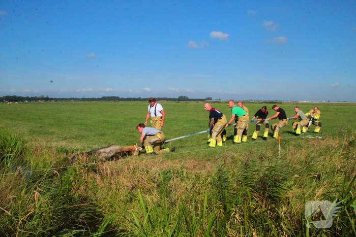 nieuws noord ervenweg eemnes