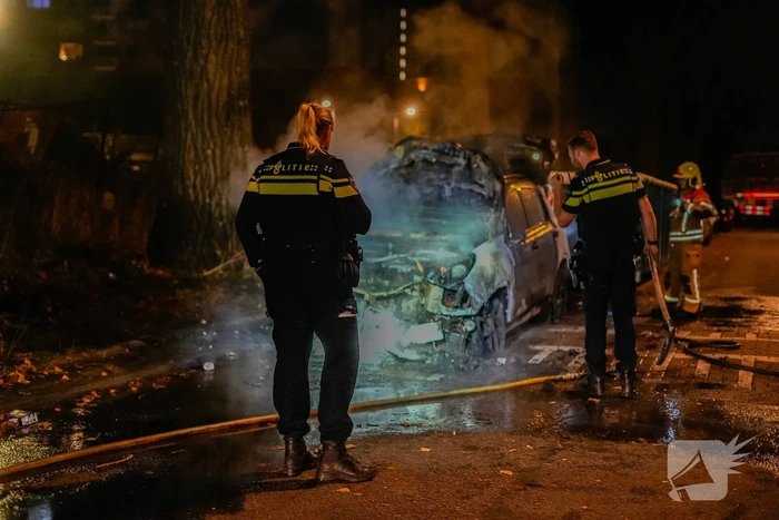 Geparkeerde auto brandt volledig af