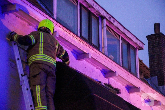 Brandweer druk met kat die op dak zit