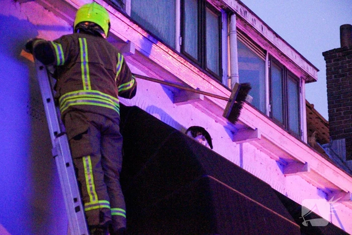 Brandweer druk met kat die op dak zit