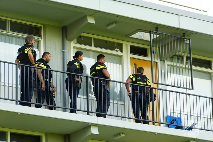 nieuws veenoord rotterdam