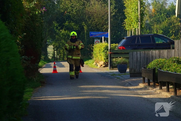gaslekkage normerlaan hippolytushoef