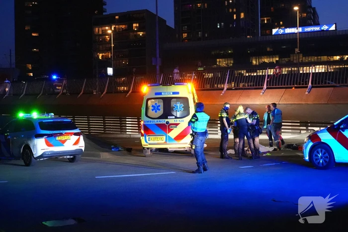 nieuws erasmusbrug rotterdam