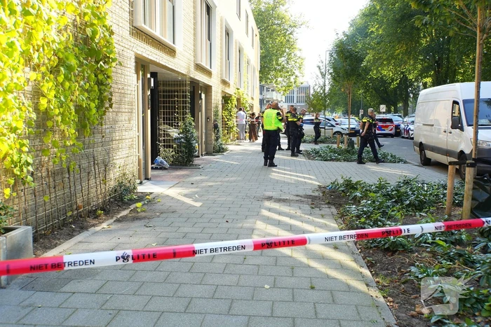 steekincident haifaweg hoogvliet rotterdam