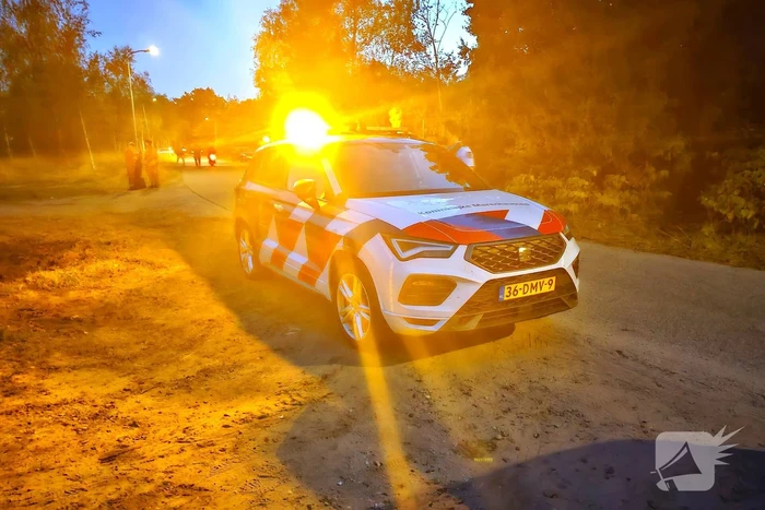 Parachutist belandt in boom, hoogte reddingsteam ingezet
