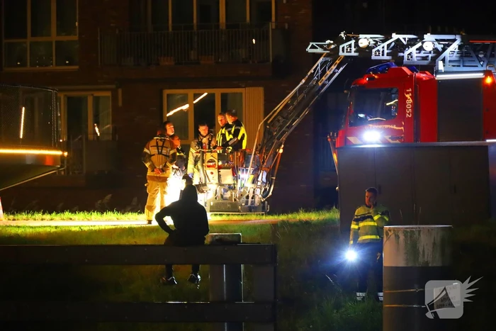 Persoon klimt op palen onder brug en word gebeten door politiehond