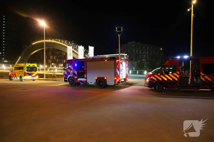 Persoon klimt op palen onder brug en word gebeten door politiehond