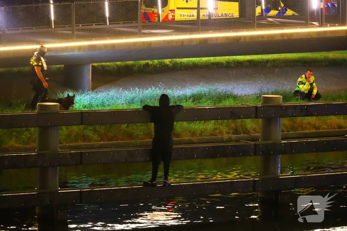 Persoon klimt op palen onder brug en word gebeten door politiehond