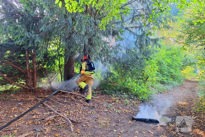 Brand in bosschage snel geblust