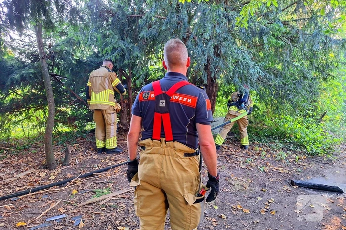Brand in bosschage snel geblust
