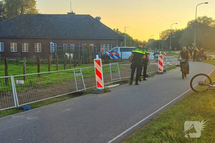 nieuws wassenaarseweg - n441 katwijk