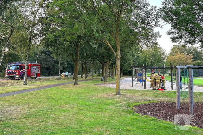 Jongedame in schommel uit benarde positie bevrijdt