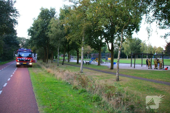 Jongedame in schommel uit benarde positie bevrijdt