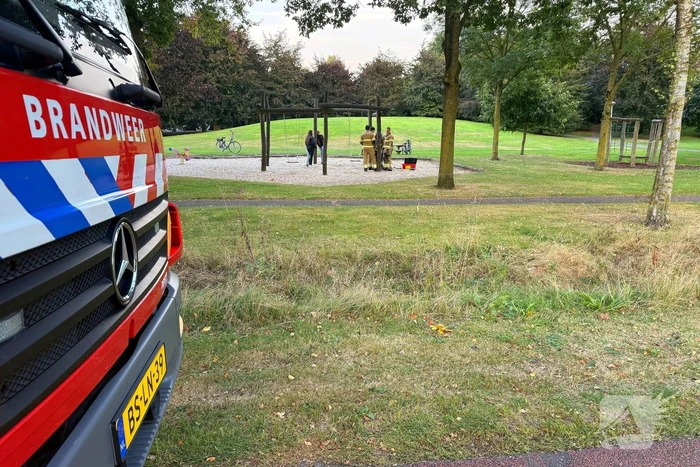 Jongedame in schommel uit benarde positie bevrijdt