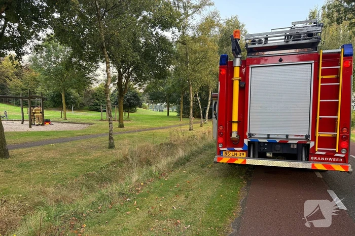 Jongedame in schommel uit benarde positie bevrijdt