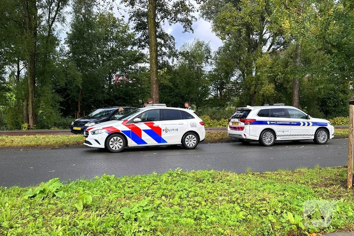 Bestuurder verliest controle en botst tegen boom