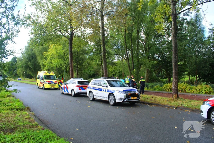 Bestuurder verliest controle en botst tegen boom