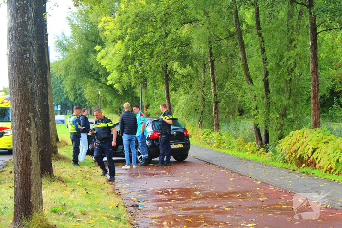 Bestuurder verliest controle en botst tegen boom