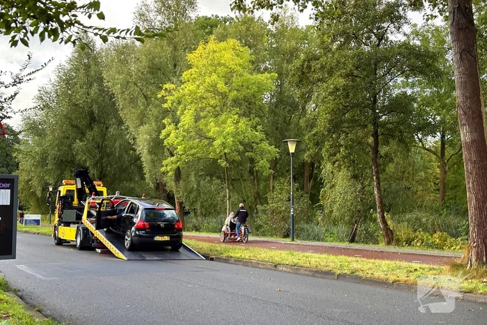 Bestuurder verliest controle en botst tegen boom