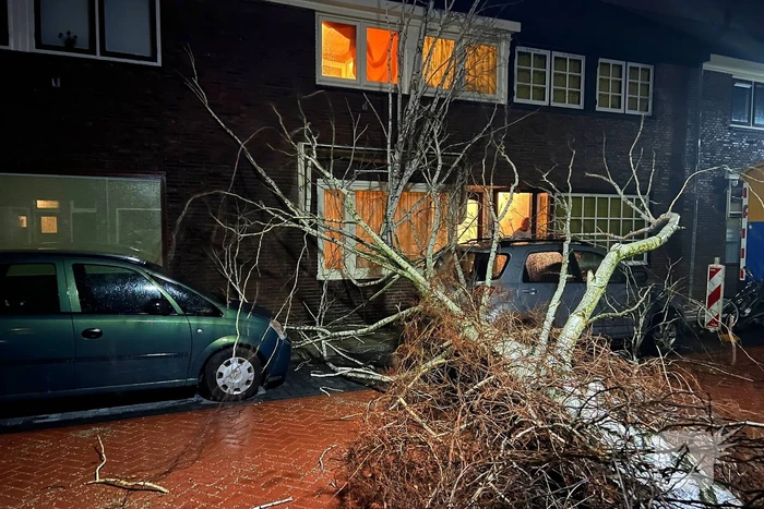 Boom valt op geparkeerde auto door sterke wind