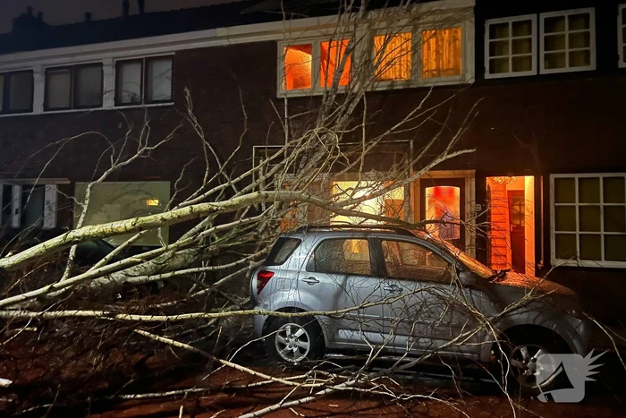 Boom valt op geparkeerde auto door sterke wind