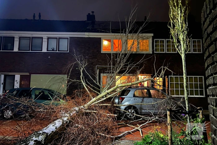 Boom valt op geparkeerde auto door sterke wind